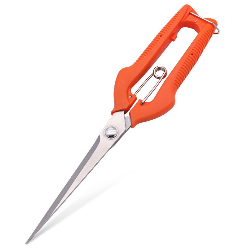 Grape Scissors Pruning Shears  - Furniture Joining Hardware reseña y precio